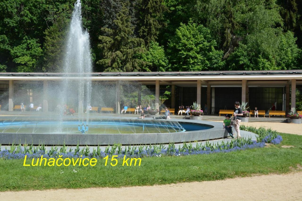 Гостьовий будинок Retro Vila Slusovice Екстер'єр фото